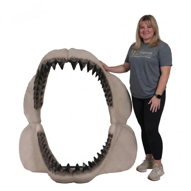 Megalodon Shark Jaw Statue LM Treasures - H