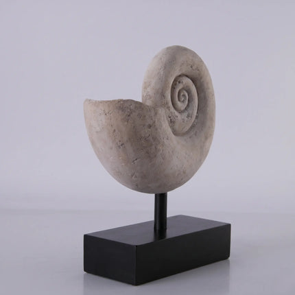 Nautilus Fossil Shell Life Size Statue