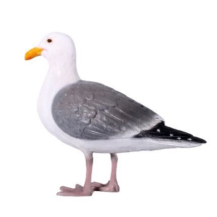 Seagull Life Size Statue LM Treasures - H