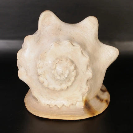 Helmet Shell Life Size Statue