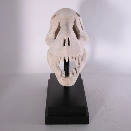 T-Rex Dinosaur Skull Life Size Statue