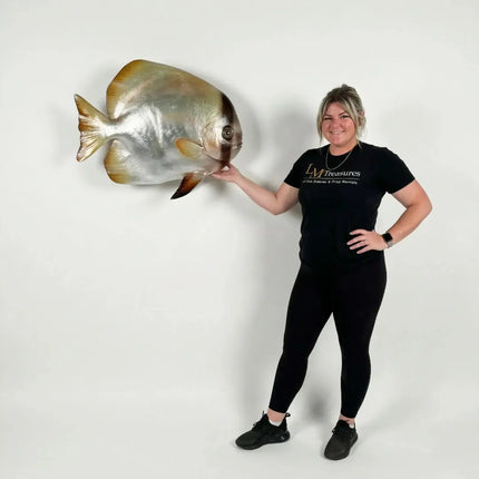 Batfish Statue LM Treasures - H