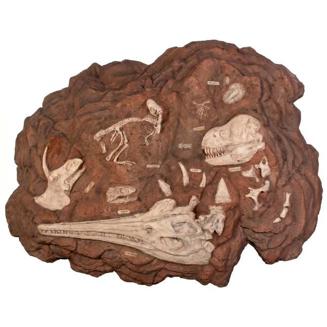 Dinosaur Fossil Dig Life Size Statue LM Treasures - H