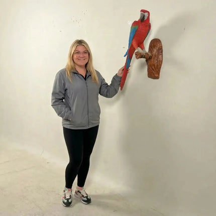 Red Macaw Parrot Wall Decor Life Size Statue LM Treasures - H
