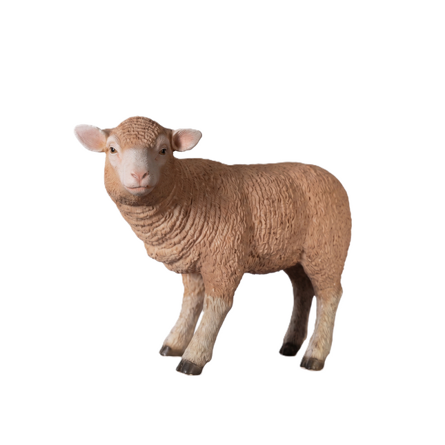 Merino Baby Lamb Life Size Statue LM Treasures - H