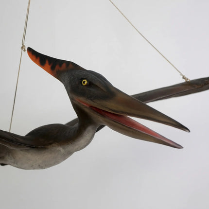 Baby Pteranodon Dinosaur Life Size Statue LM Treasures - H
