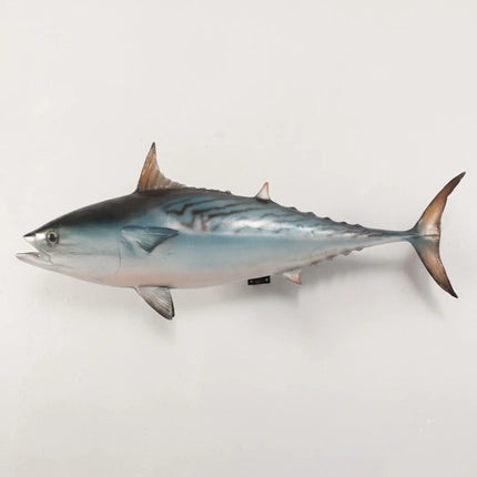 Mackerel Tuna Statue LM Treasures - H