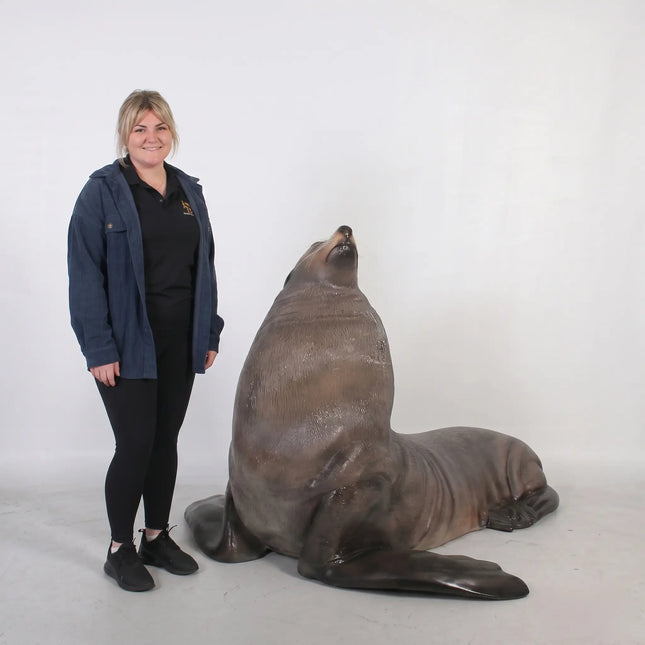 Sea Lion Male Fur Seal Life Size Statue LM Treasures - H