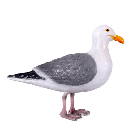 Seagull Life Size Statue LM Treasures - H