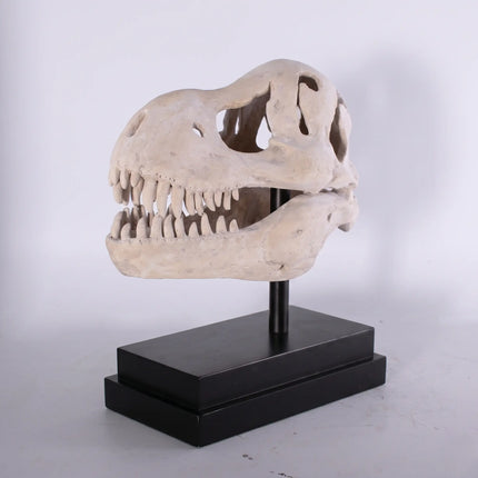 T-Rex Dinosaur Skull Life Size Statue