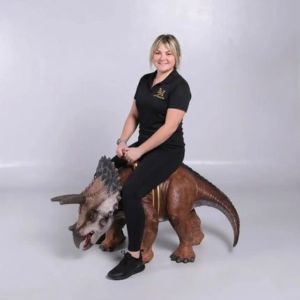 Baby Triceratops Dinosaur With Saddle Statue LM Treasures - H