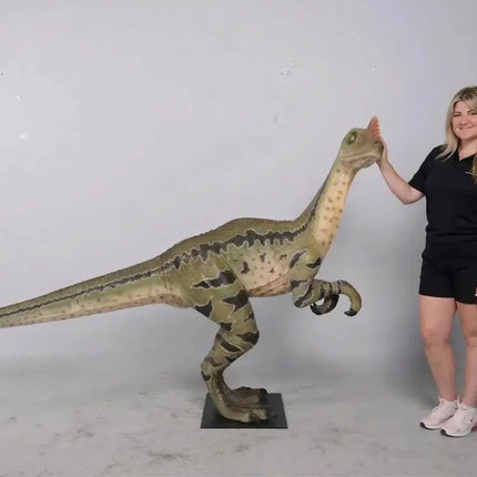 Dilong Paradoxus Dinosaur Life Size Statue LM Treasures - H