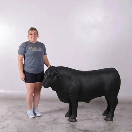 Black Young Angus Bull Looking Left Statue LM Treasures - H