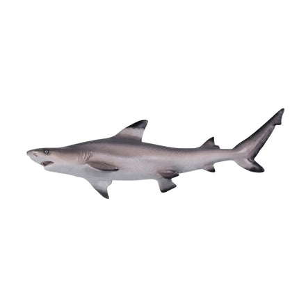 Black Tip Shark Statue LM Treasures - H