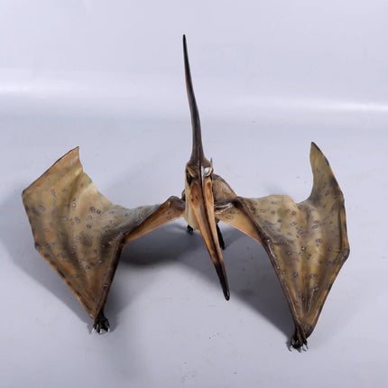 Pteranodon Ingens Dinosaur Life Size Statue LM Treasures - H
