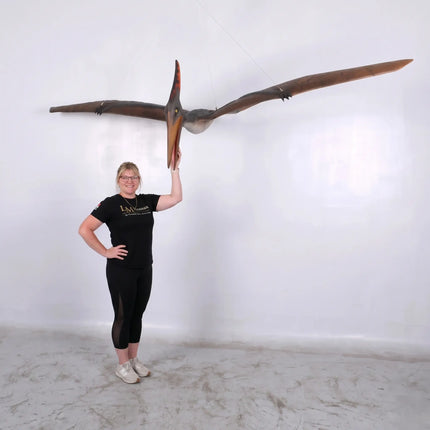 Pteranodon Dinosaur Life Size Statue LM Treasures - H