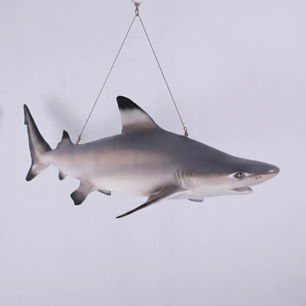 Black Tip Shark Statue LM Treasures - H
