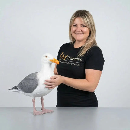 Seagull Life Size Statue LM Treasures - H