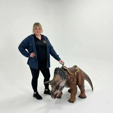 Baby Triceratops Dinosaur With Saddle Statue LM Treasures - H