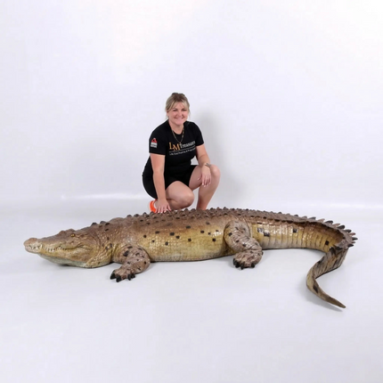 Crocodile Life Size Statue LM Treasures - H