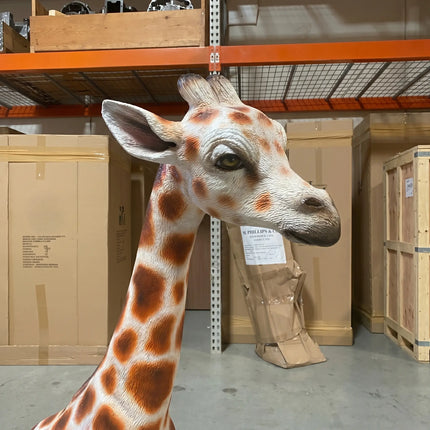 Laying Baby Giraffe Life Size Statue LM Treasures - A