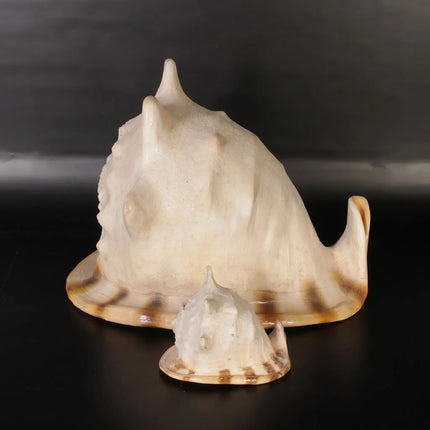 Helmet Shell Life Size Statue