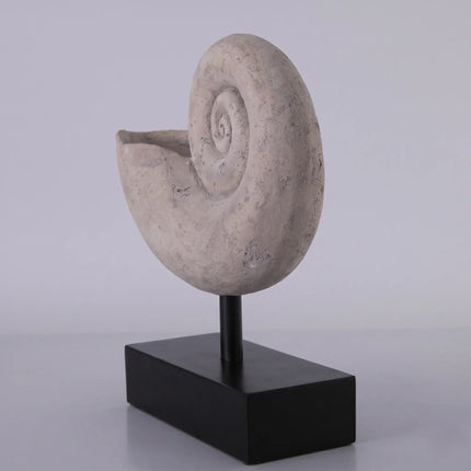 Nautilus Fossil Shell Life Size Statue