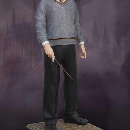 Harry Potter The Chamber of Secrets Daniel Radcliffe Life Size Statue - LM Treasures 