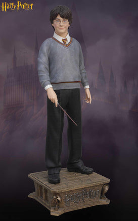 Harry Potter The Chamber of Secrets Daniel Radcliffe Life Size Statue - LM Treasures 