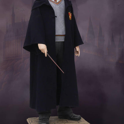 Harry Potter The Chamber of Secrets Daniel Radcliffe Life Size Statue - LM Treasures 