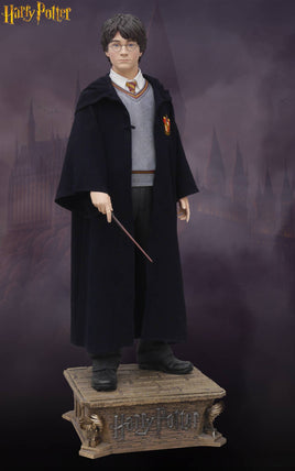 Harry Potter The Chamber of Secrets (Daniel Radcliffe) Life Size Statue - LM Treasures 