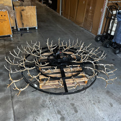 Antler Chandelier with Candle Lights Pre-Owned Display LM Treasures - P