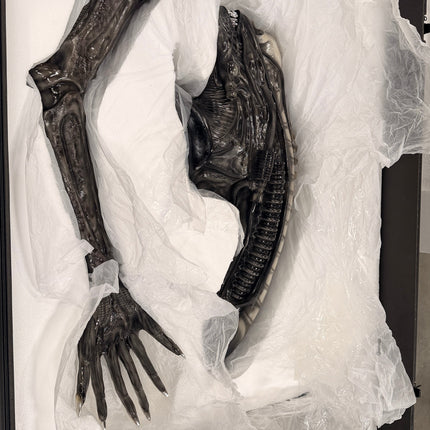 Alien Big Chap Xenomorph Life Size Statue LM Treasures - RS