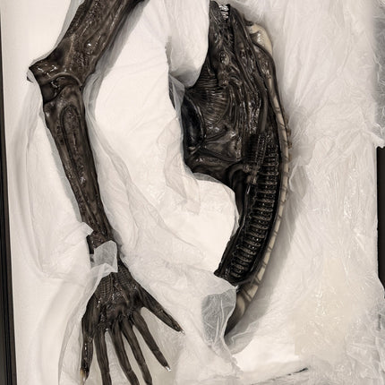 Alien Big Chap Xenomorph Life Size Statue LM Treasures - RS