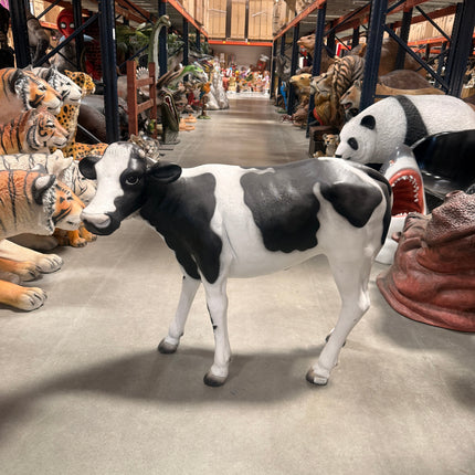 Baby Holstein Cow Life Size Statue LM Treasures - H
