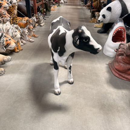 Baby Holstein Cow Life Size Statue LM Treasures - H