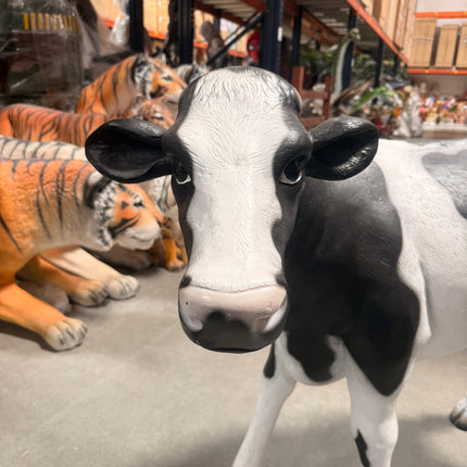 Baby Holstein Cow Life Size Statue LM Treasures - H