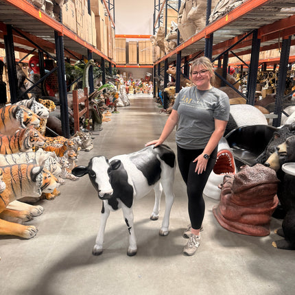 Baby Holstein Cow Life Size Statue LM Treasures - H