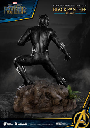 Simple Modern Marvel Black Panther … curated on LTK
