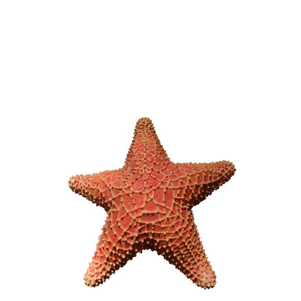 Comic Cushion Starfish Statue - LM Treasures 