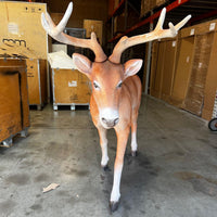 Young Deer Life Size Statue - LM Treasures 