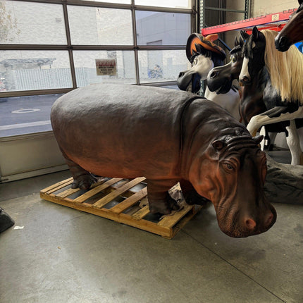Realistic Hippopotamus Life Size Statue