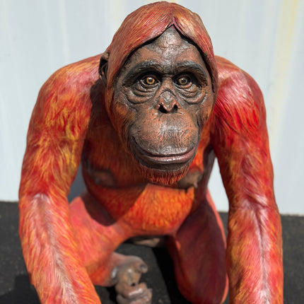 Male Orangutan Sitting Life Size Statue