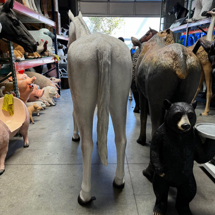 White Horse Standing Life Size Statue