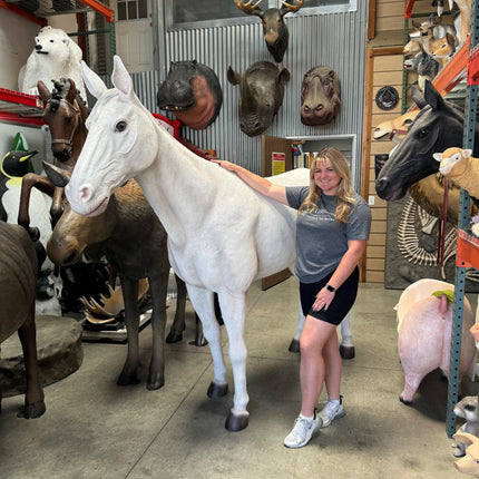 White Horse Standing Life Size Statue