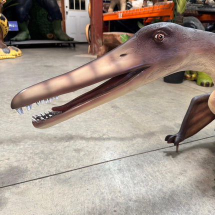 Baby Cearadactylus Bird Dinosaur Statue