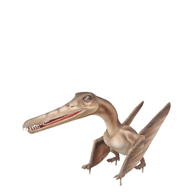 Baby Cearadactylus Bird Dinosaur Statue LM Treasures - PT