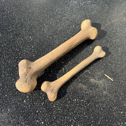 Small Dinosaur Bone Life Size Statue