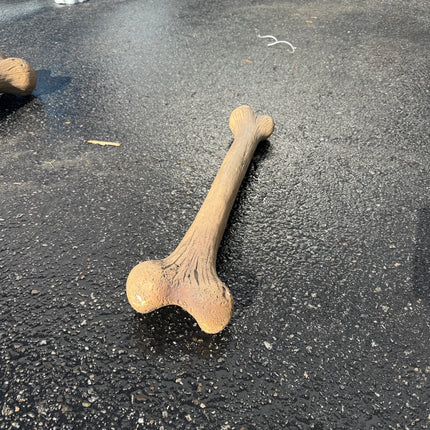 Small Dinosaur Bone Life Size Statue