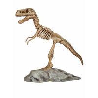 Baby T-Rex Dinosaur Skeleton On Base Life Size Statue - LM Treasures 